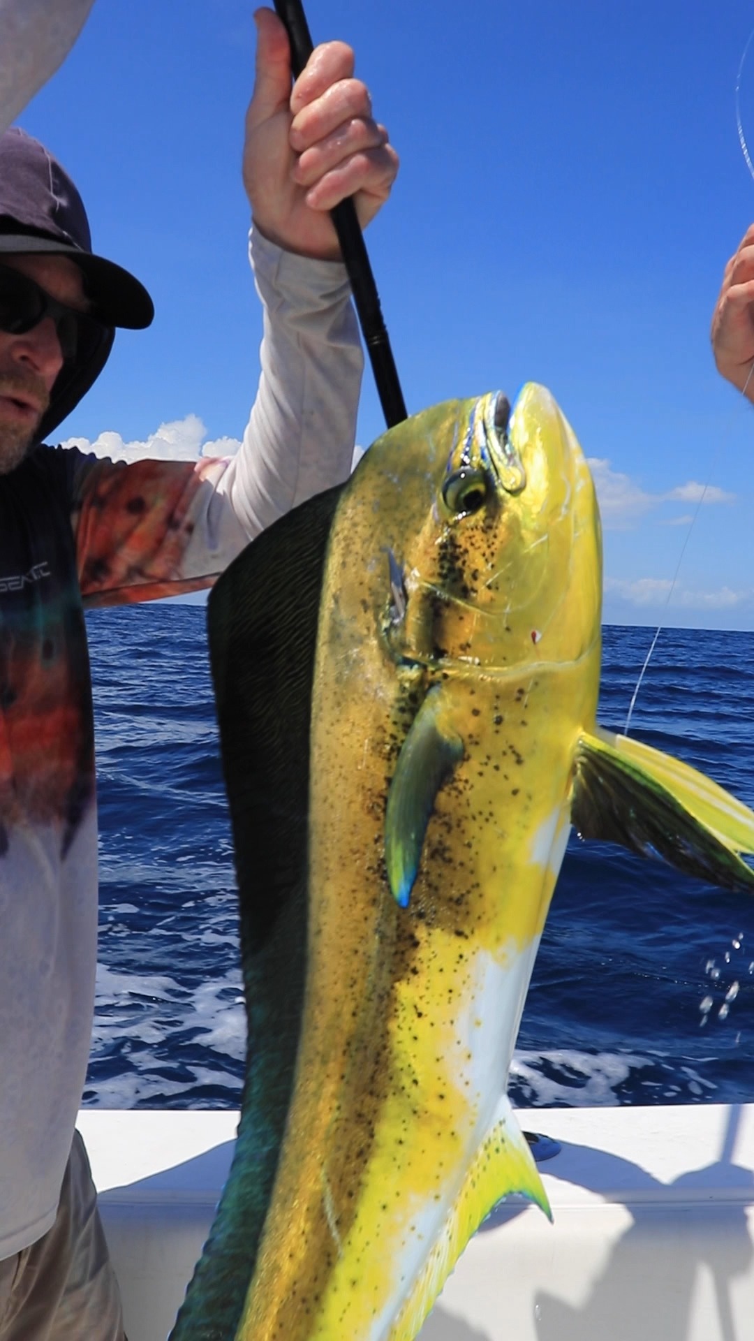 Why do anglers travel from all over the country to fish out of Stuart, Florida? Let us count the ways:
✅ Sailfish Capital of the World
✅ Gulfstream pushes world-class pelagics within miles of the inlet
✅ Year-round offshore action (sailfish, mahi, tuna, kingfish, amberjack, snapper + more)
✅ St. Lucie Inlet access means less running, more fishing
✅ Captain Chris Britton knows these waters like the back of his hand 🎣

You don't have to travel to the Bahamas for a world-class offshore experience. It's right here.

📞 772-202-0623 | stuartsportfishing.com

#StuartSportFishing #SportFishing #OffshoreFishing #FishingCharter #FloridaFishing #Fishing #Florida #CharterBoat #Contender